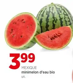 Avril Minimelon d'eau bio offer