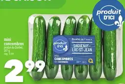 Marche Ami MINI CONCOMBRES offer