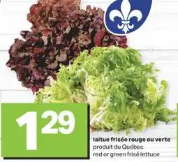 L'Intermarché LAITUE FRISÉE ROUGE OU VERTE offer