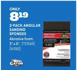 RONA 2-PACK ANGULAR SANDING SPONGES offer