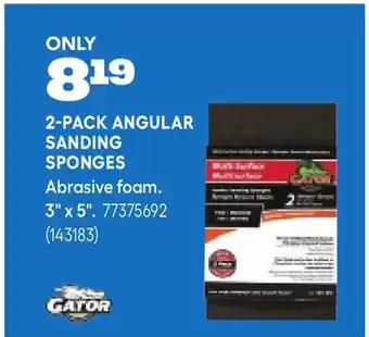 RONA 2-PACK ANGULAR SANDING SPONGES offer