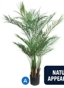 RONA ARTIFICIAL PLANTS offer
