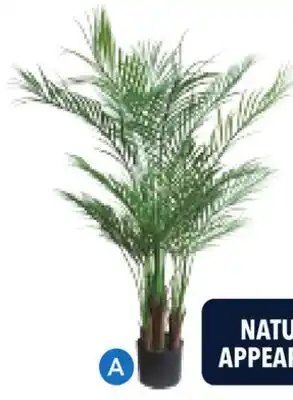 RONA ARTIFICIAL PLANTS offer