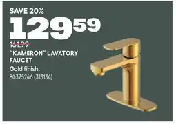 RONA KAMERON LAVATORY FAUCET offer