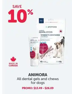 Mondou ANIMORA All dental gels and chews for dogs offer