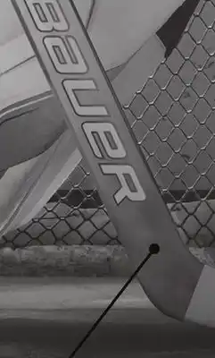 Hockey Life Goalie Stick offer