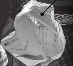 Hockey Life Catcher offer