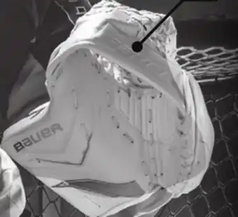 Hockey Life Catcher offer