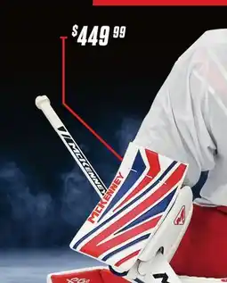 Hockey Life BLOCKER offer