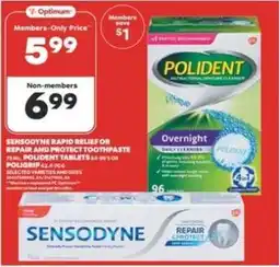 Real Canadian Superstore Sensodyne Rapid Relief or Repair and Protect Toothpaste offer