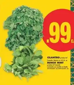 No Frills Cilantro or Bunch Mint offer