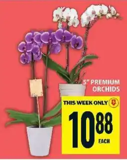 Food Basics 5” PREMIUM ORCHIDS offer