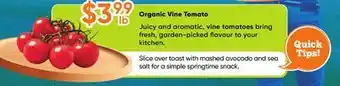 Healthy Planet Organic Vine Tomato offer