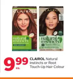 Rexall CLAIROL Natural Instincts or Root Touch-Up Hair Colour offer