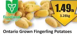Starsky Ontario Grown Fingerling Potatoes offer