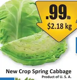 Starsky New Crop Spring Cabbage offer