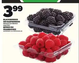 Independent City Market MÛRES OU FRAMBOISES offer
