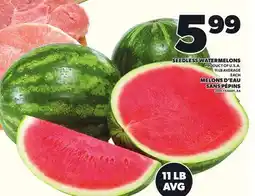 Independent City Market SEEDLESS WATERMELONS, 11 LB AVERAGE offer
