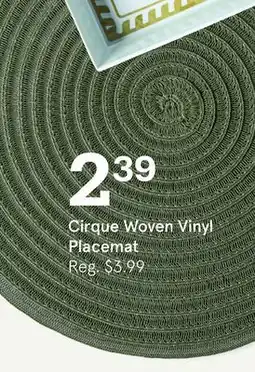 Kitchen Stuff Plus Cirque Woven Vinyl Placemat offer