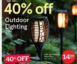 Kitchen Stuff Plus Solar LED Flickering Flame Torch offer