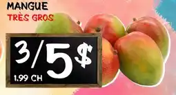 Marche Salaberry MANGUE offer