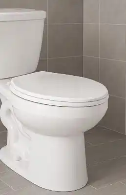 Matériaux Pont Masson 2 piece Toilet 4.8l Round offer