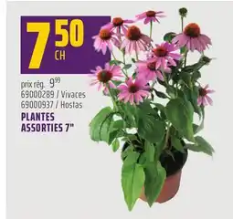 Gagnon - La Grande Quincaillerie PLANTES ASSORTIES 7 offer