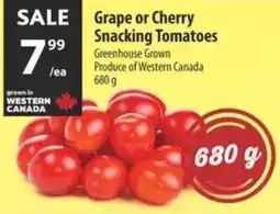 Co-op Grape or cherry snacking tomatoes offer