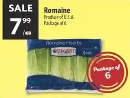 Co-op Romaine offer
