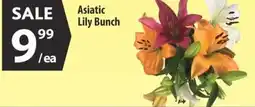 Co-op Asiatic lily bunch offer