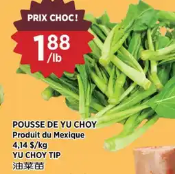 Kim Phat YU CHOY TIP offer