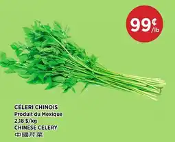 Kim Phat CHINESE CELERY offer