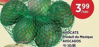 Kim Phat AVOCADOS offer