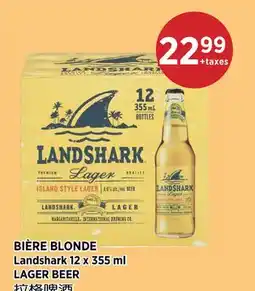 Kim Phat Landshark LAGER BEER offer