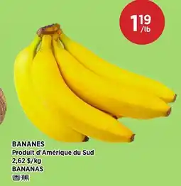 Kim Phat BANANAS offer