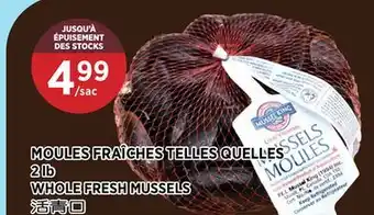 Kim Phat WHOLE FRESH MUSSELS offer