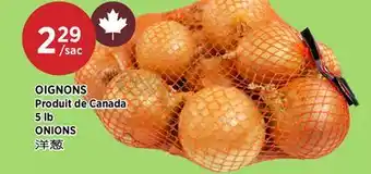 Kim Phat ONIONS offer