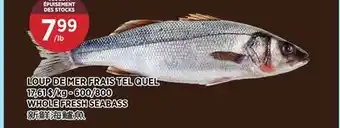 Kim Phat WHOLE FRESH SEABASS offer