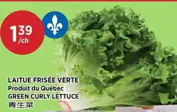 Kim Phat GREEN CURLY LETTUCE offer