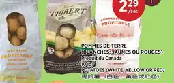 Kim Phat POTATOES offer