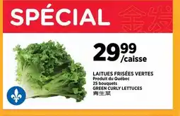Kim Phat GREEN CURLY LETTUCES offer