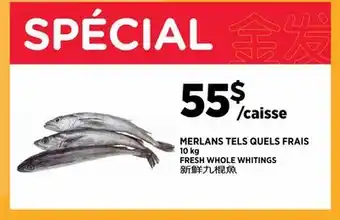 Kim Phat FRESH WHOLE WHITINGS offer