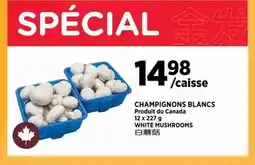 Kim Phat WHITE MUSHROOMS offer