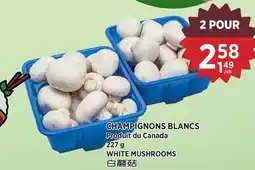 Kim Phat WHITE MUSHROOMS offer