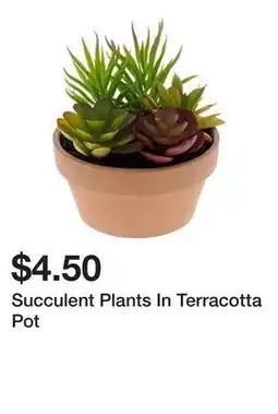 Dollarama Succulent Plants In Terracotta Pot offer