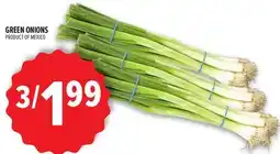 Metro GREEN ONIONS offer