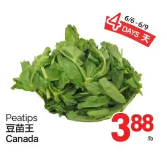 T&T Supermarket PEATIPS offer