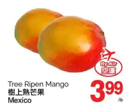 T&T Supermarket TREE RIPEN MANGO offer