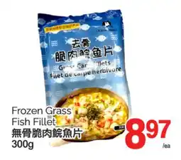 T&T Supermarket FROZEN GRASS FISH FILLET, 300g offer