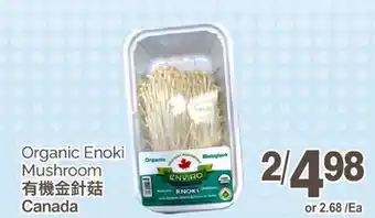T&T Supermarket ORGANIC ENOKI MUSHROOM offer